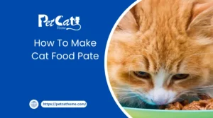 how to make cat food pate
