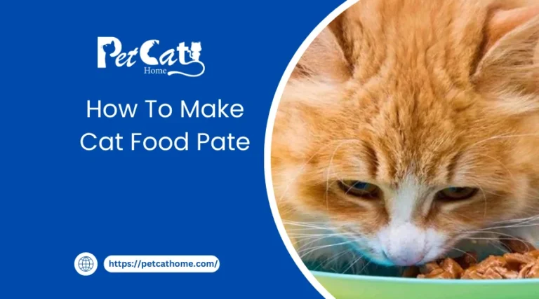 How To Make Cat Food Pate