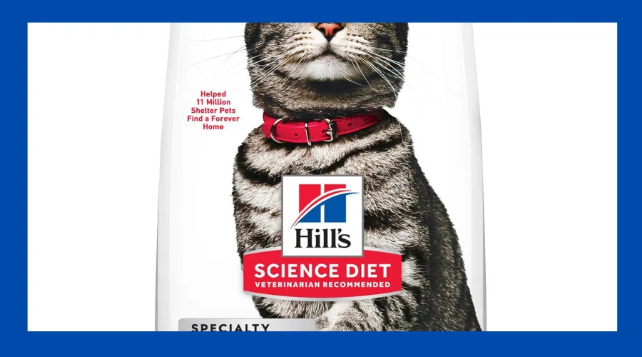 best cat food for hairballs and sensitive stomach