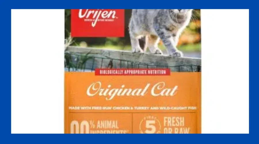 High Protein Dry Cat Food