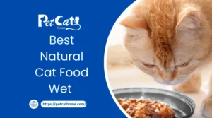 Cat Food Wet