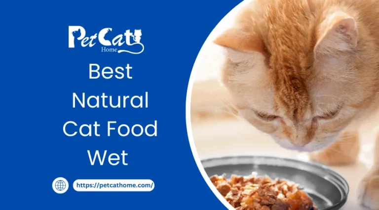 Best Natural Cat Food Wet 