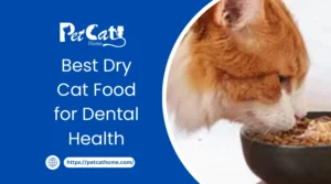 Best Dry Cat Food for Dental Health
