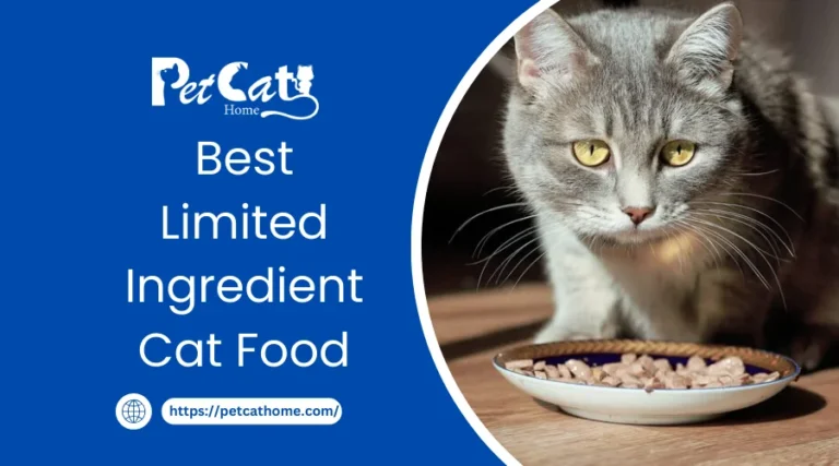 Best Limited Ingredient Cat Food